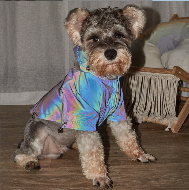 Superstar Raincoat The Doggo Design Co