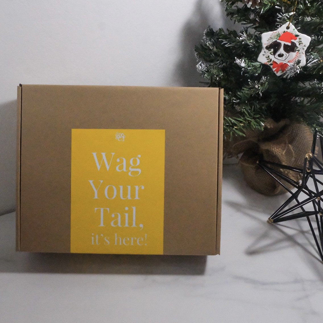 Parrandeo Box - The Doggo Design Co