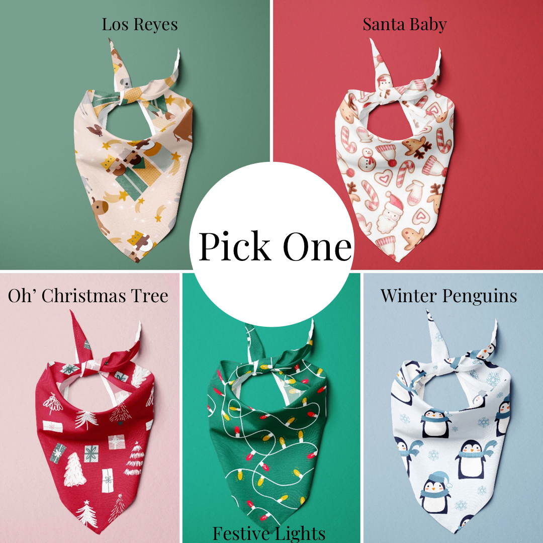 Parrandeo Box - The Doggo Design Co