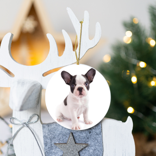 Photo Custom Ornament
