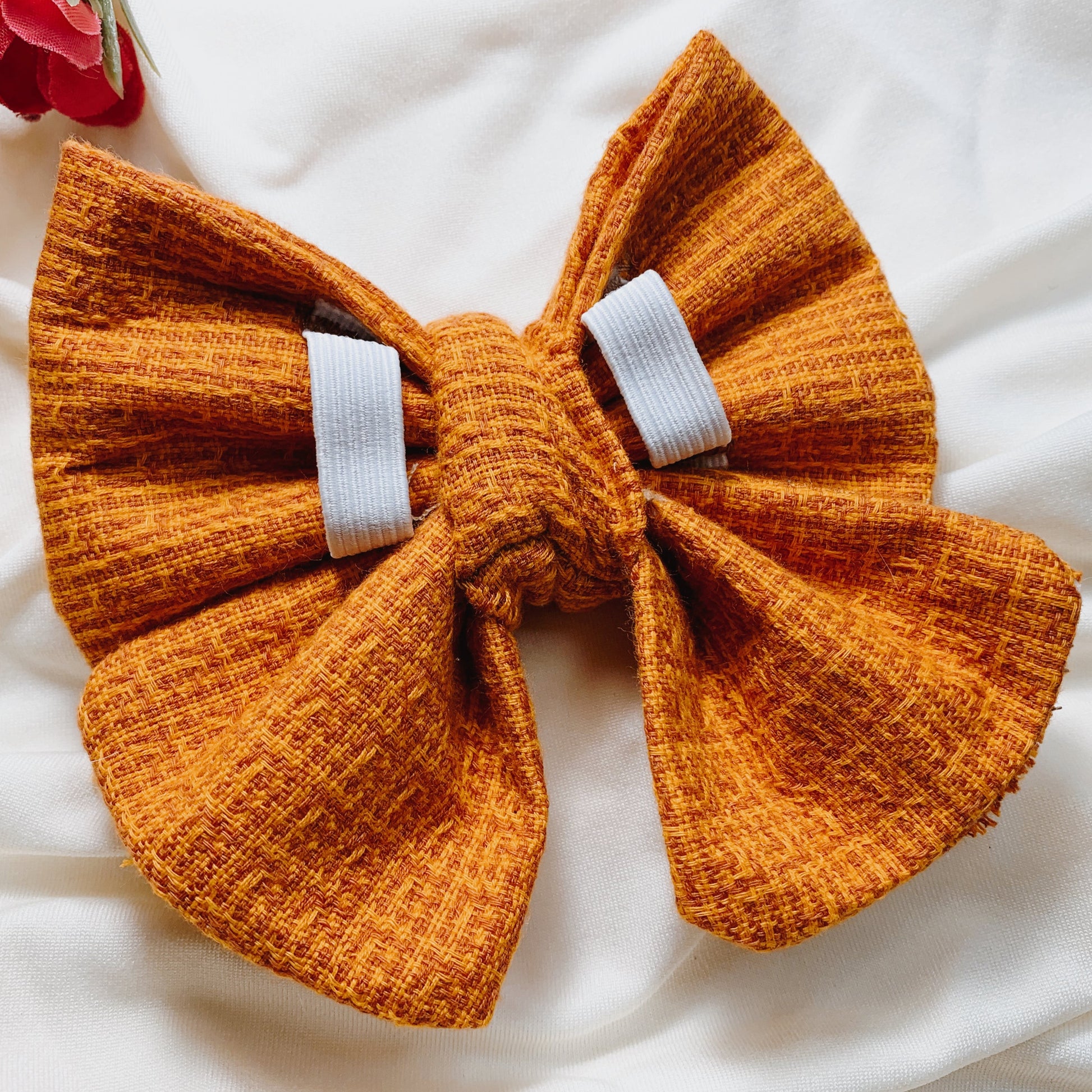 Pumpkin Spice | Bowtie - The Doggo Design Co