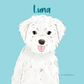 Pet Tumbler | 1 PET