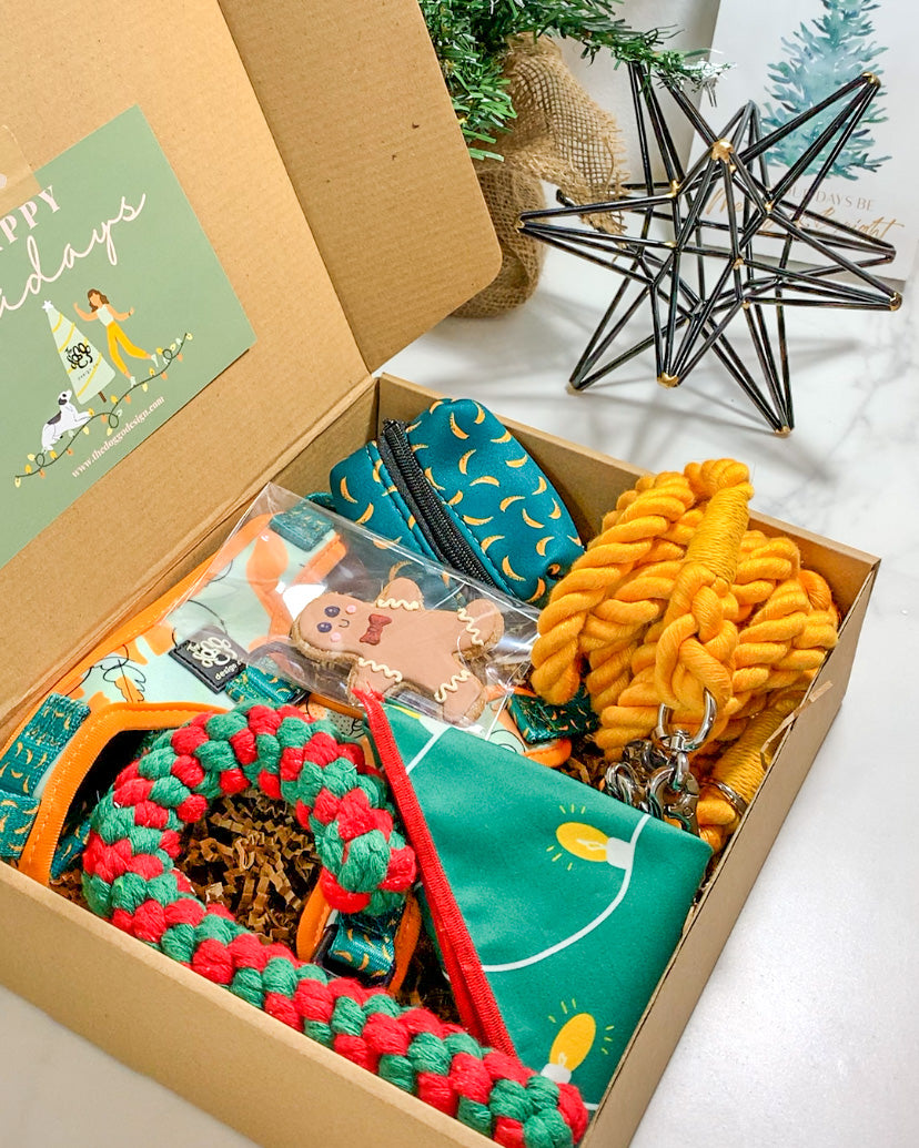 Parrandeo Box - The Doggo Design Co