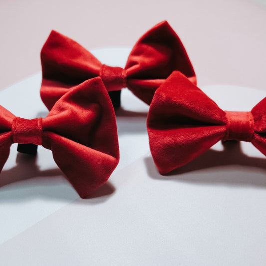 Jolly Rancher Red | Velvet Bowtie - The Doggo Design Co