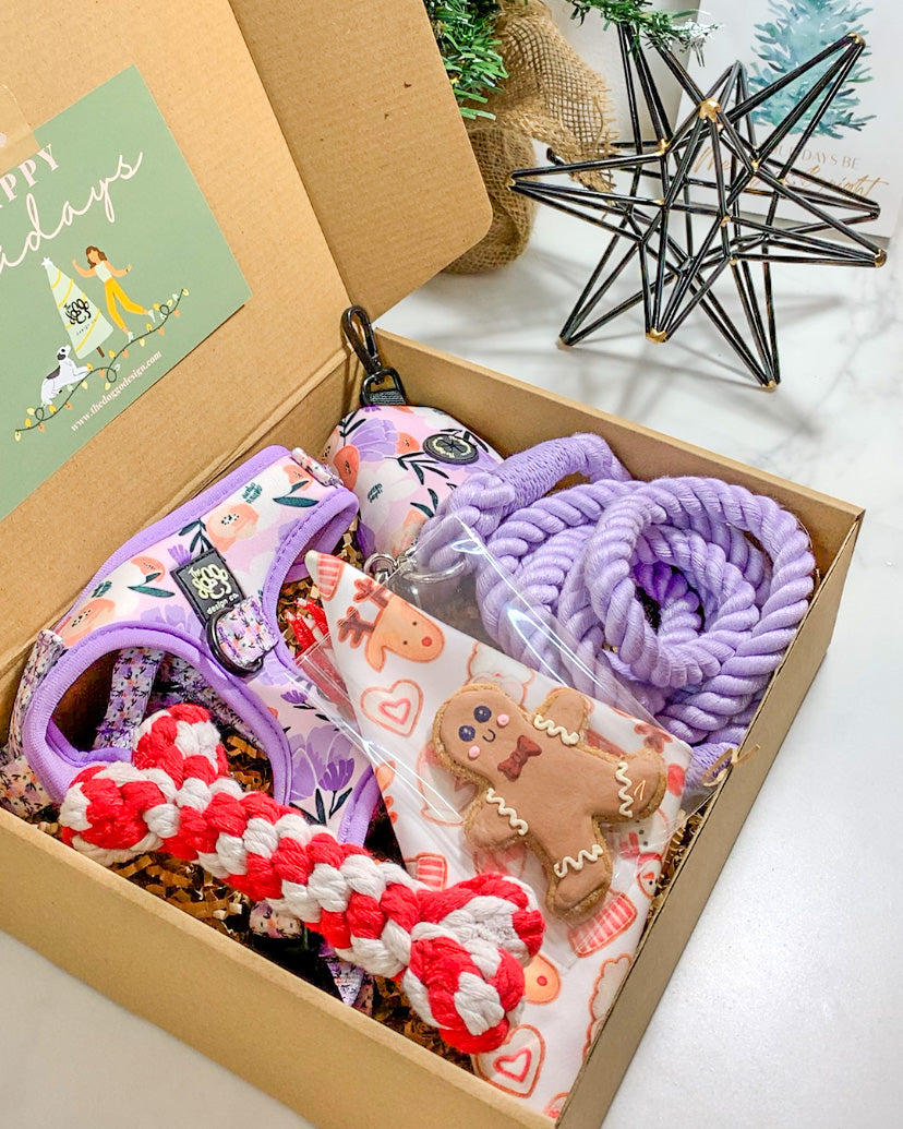 Parrandeo Box - The Doggo Design Co